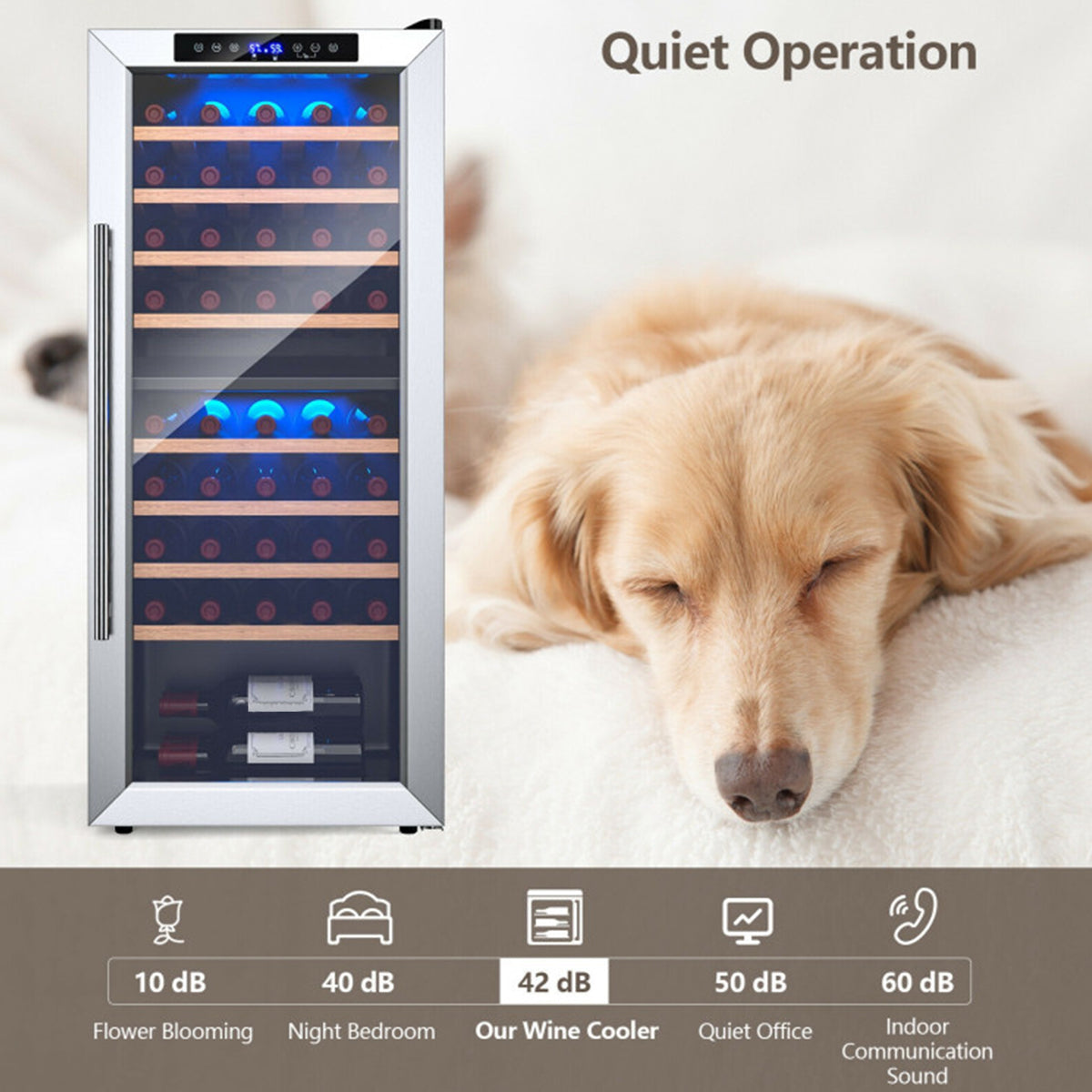 Dual Zone 43 Bottle Wine Cooler Refrigerator