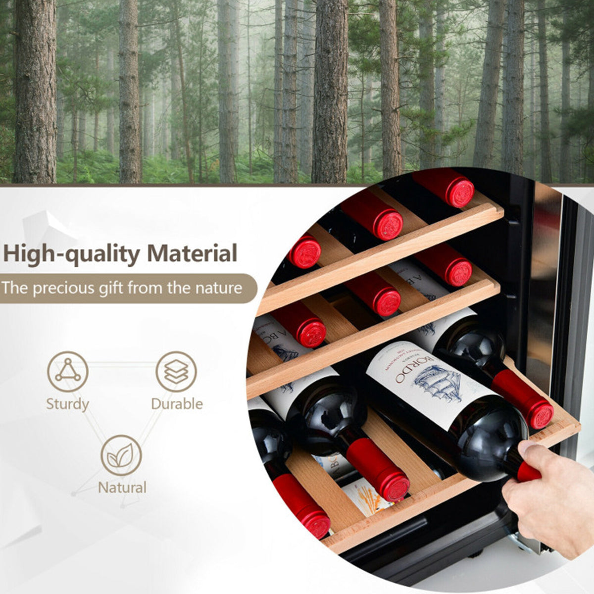Dual Zone 43 Bottle Wine Cooler Refrigerator