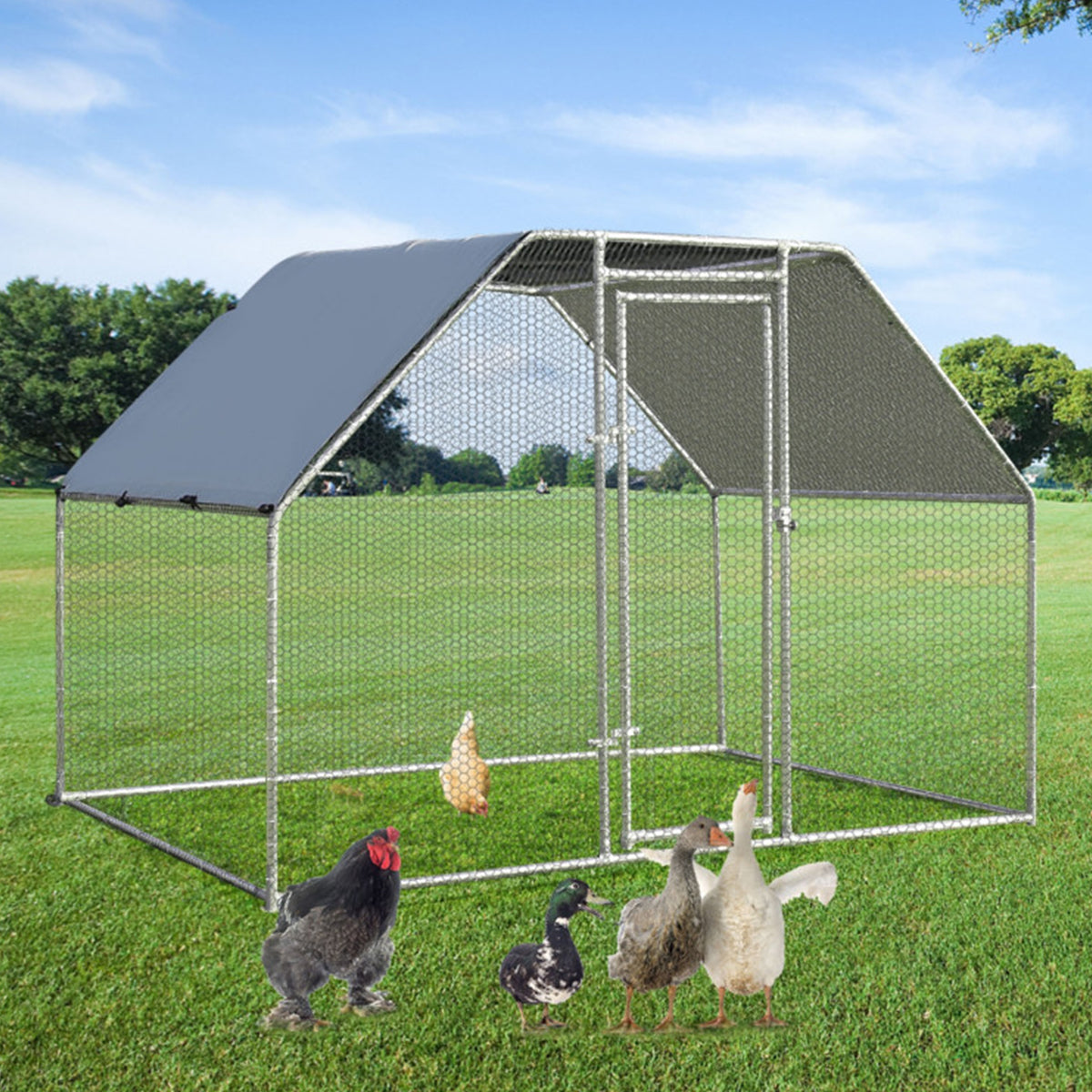 Large Walk In Chicken Run Cage