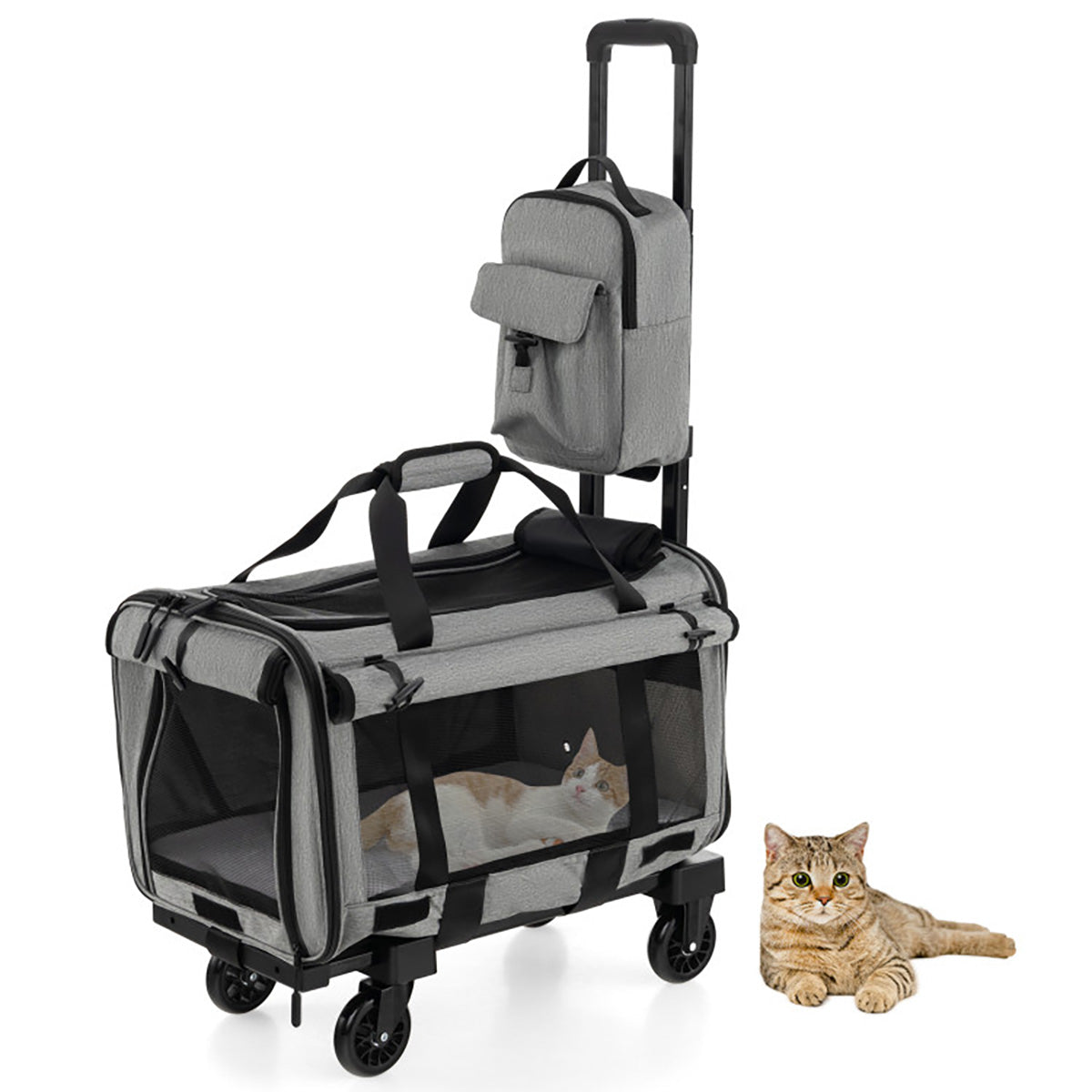 Soft Rolling Pet Carrier