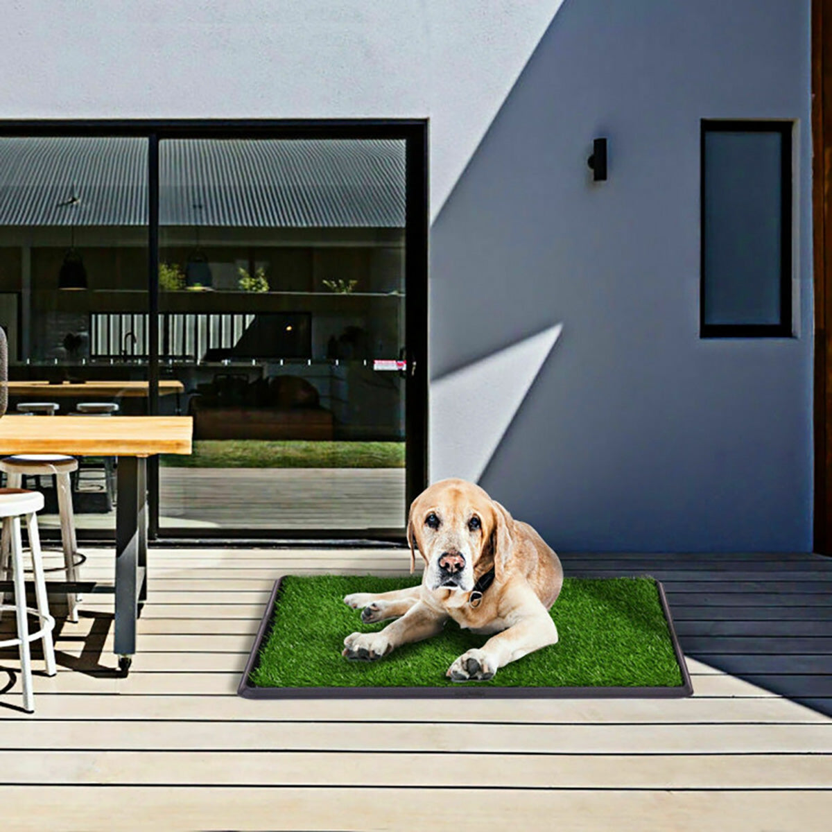 Artificial Grass Puppy Potty Trainer