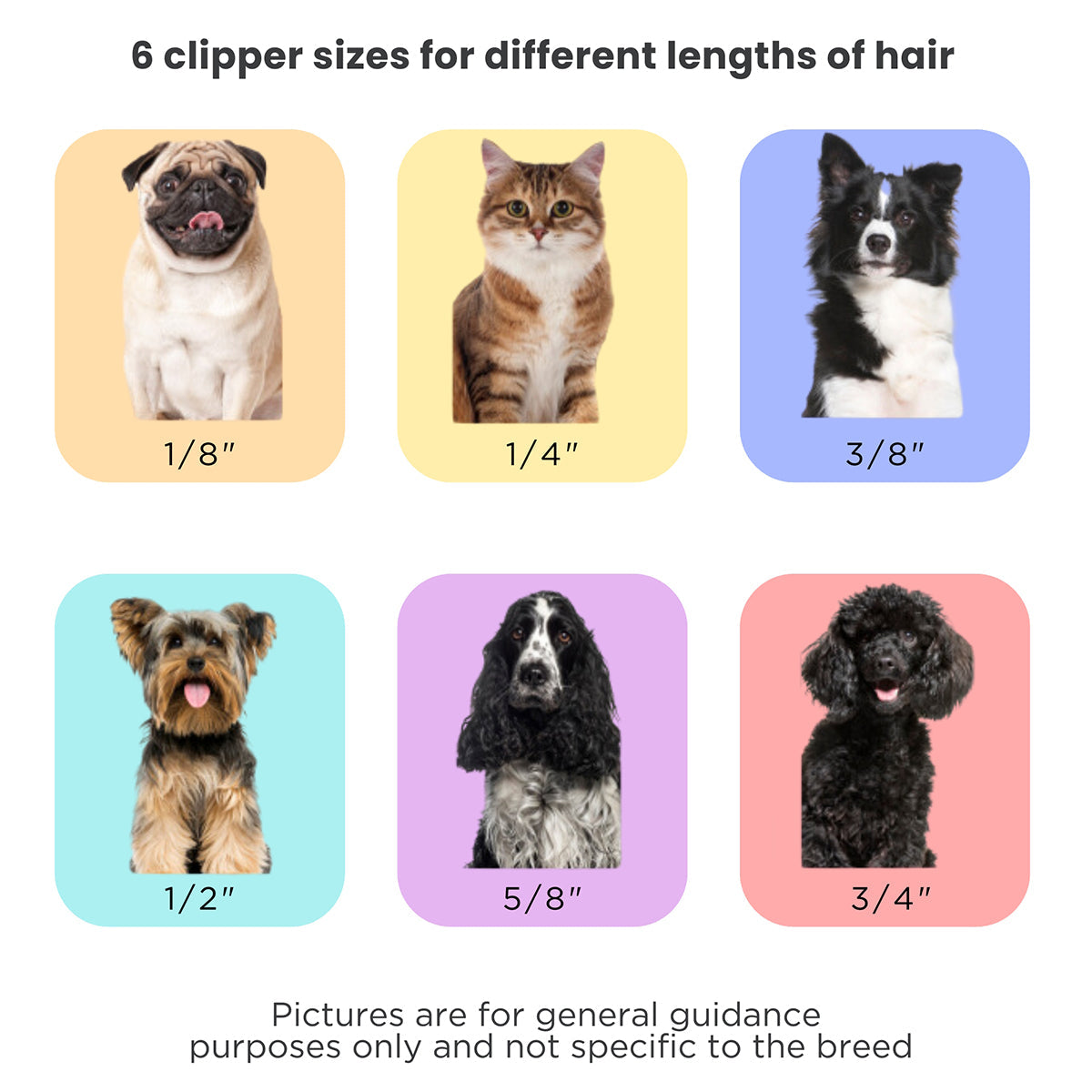 Mess-Free Pet Grooming Kit