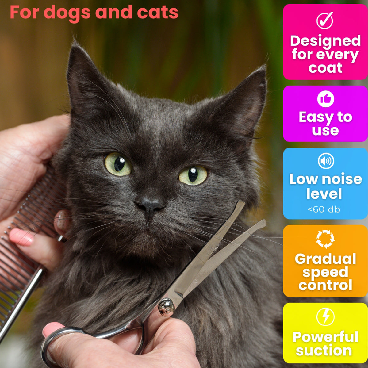 Mess-Free Pet Grooming Kit