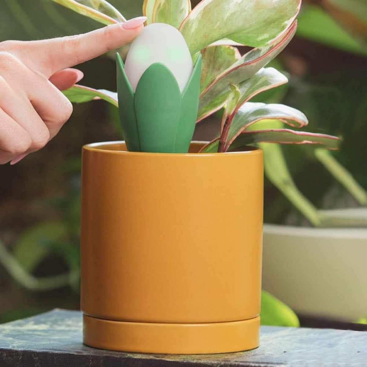 Flora Pod™ Smart Plant Monitor