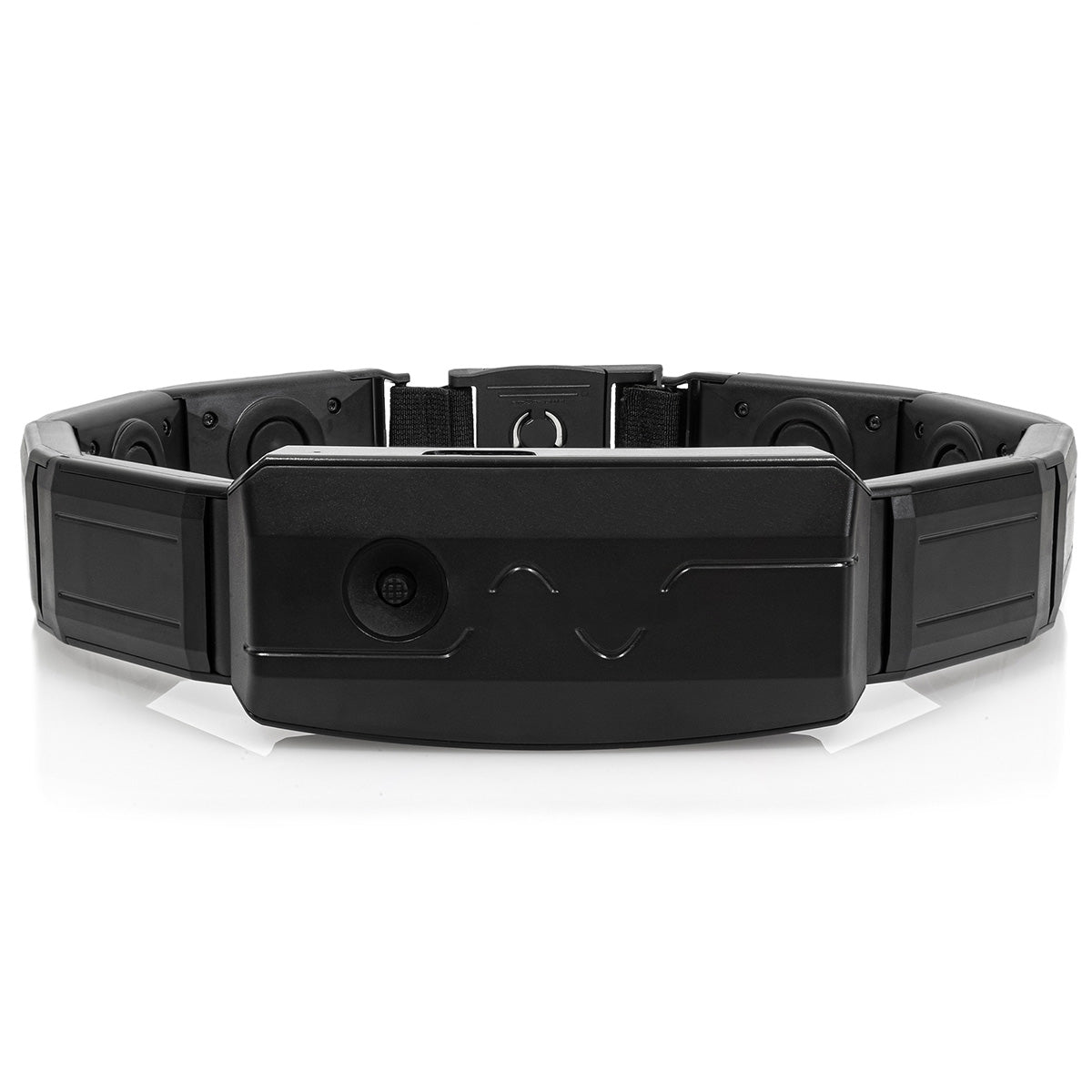 Immersive Entertainment Belt