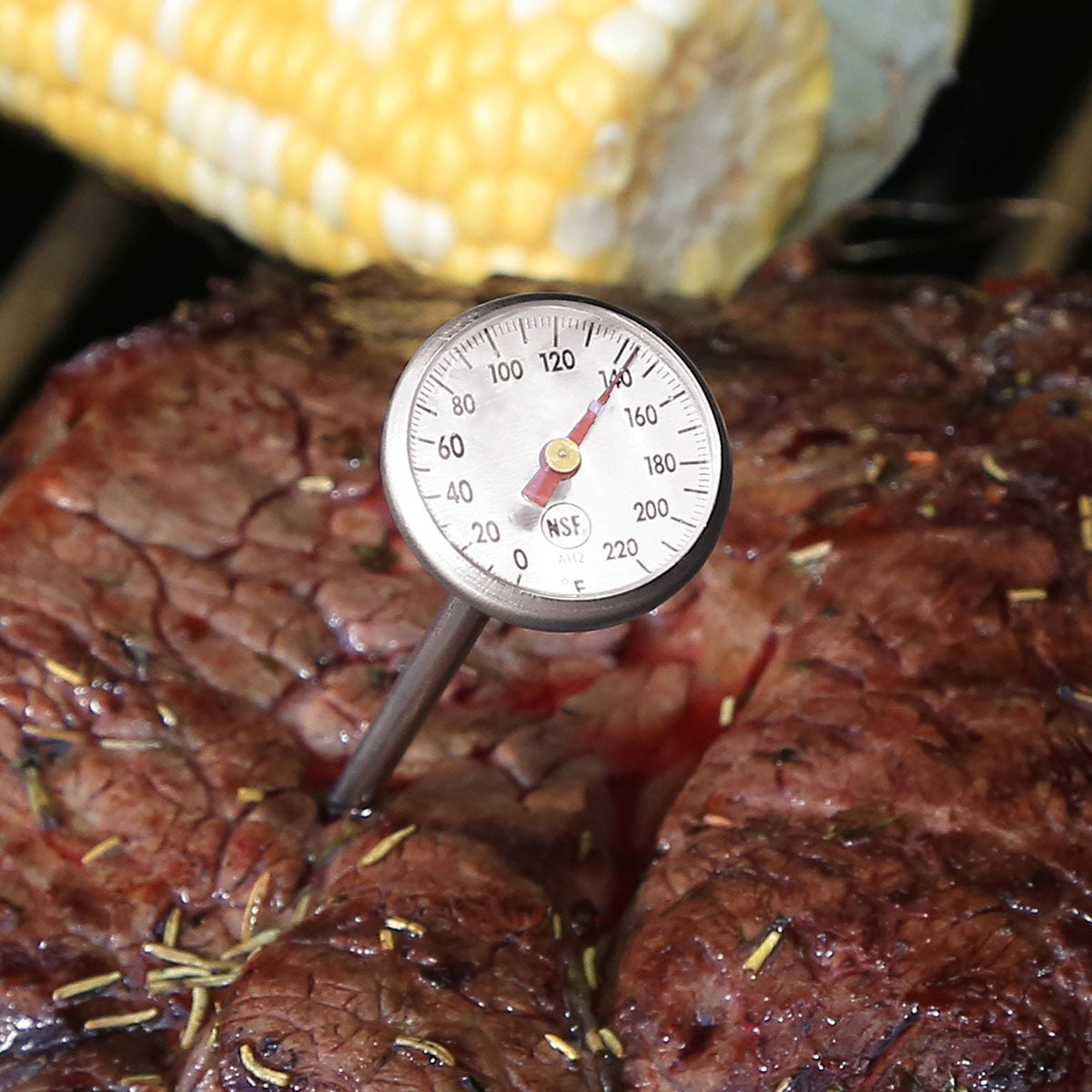 Digital Thermometer and Deep Fry Thermometer Set