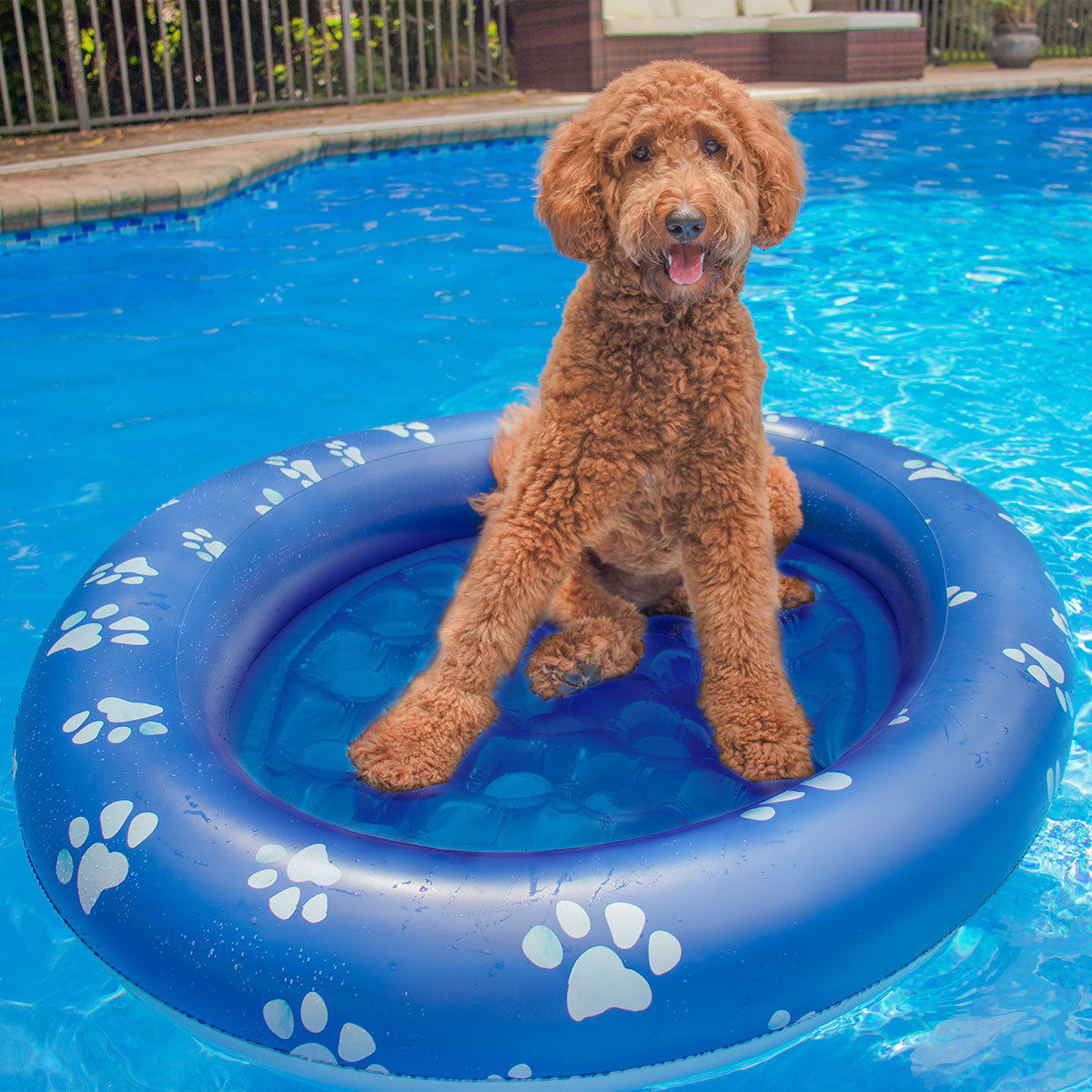 Inflatable Pet Float