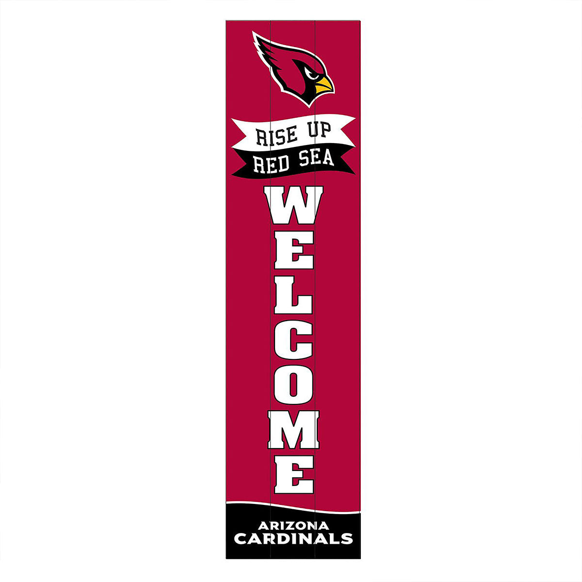 NFL Team Spirit Leaner