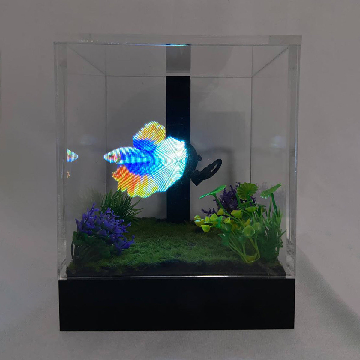 3D Holographic Aquarium