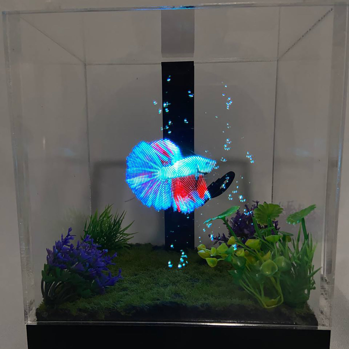 3D Holographic Aquarium