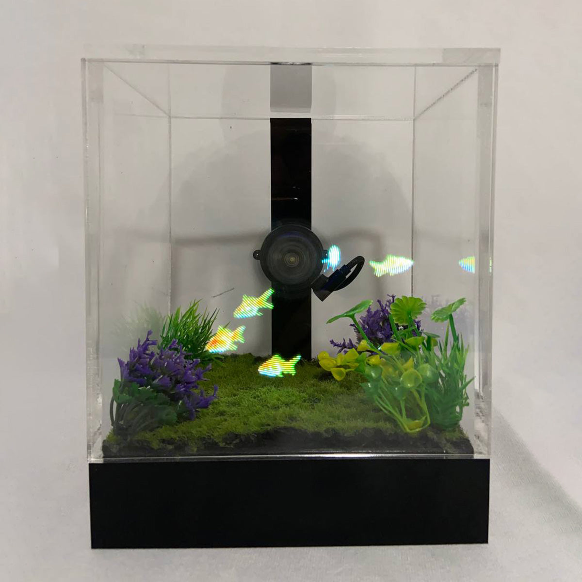 3D Holographic Aquarium