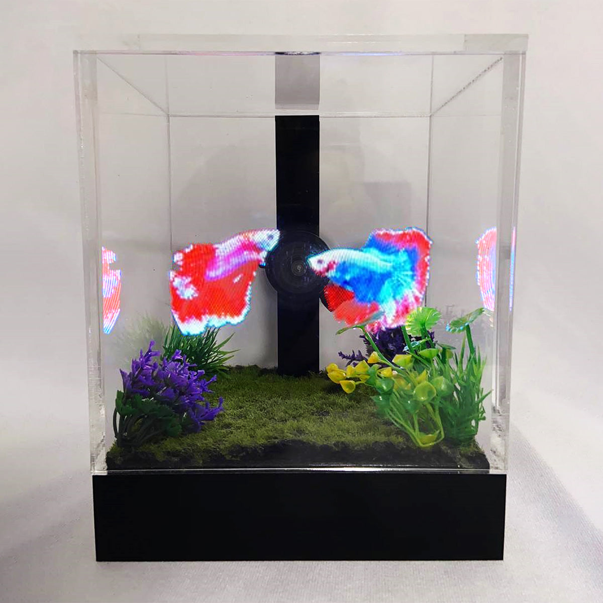 3D Holographic Aquarium