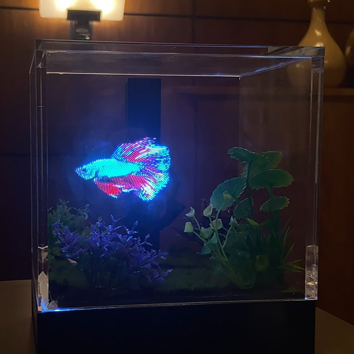 3D Holographic Aquarium