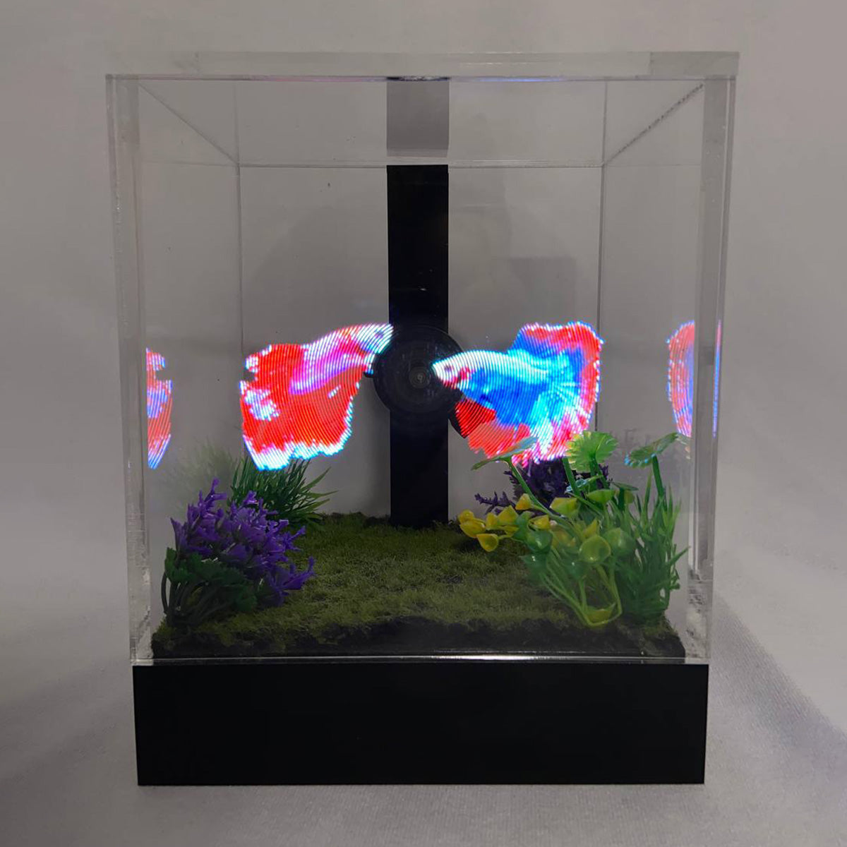 3D Holographic Aquarium