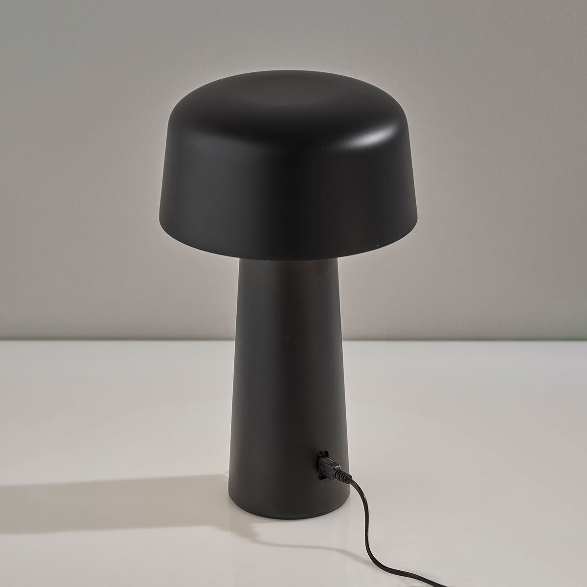 Cordless Indoor/Outdoor LED Diffused Light Table Lamp