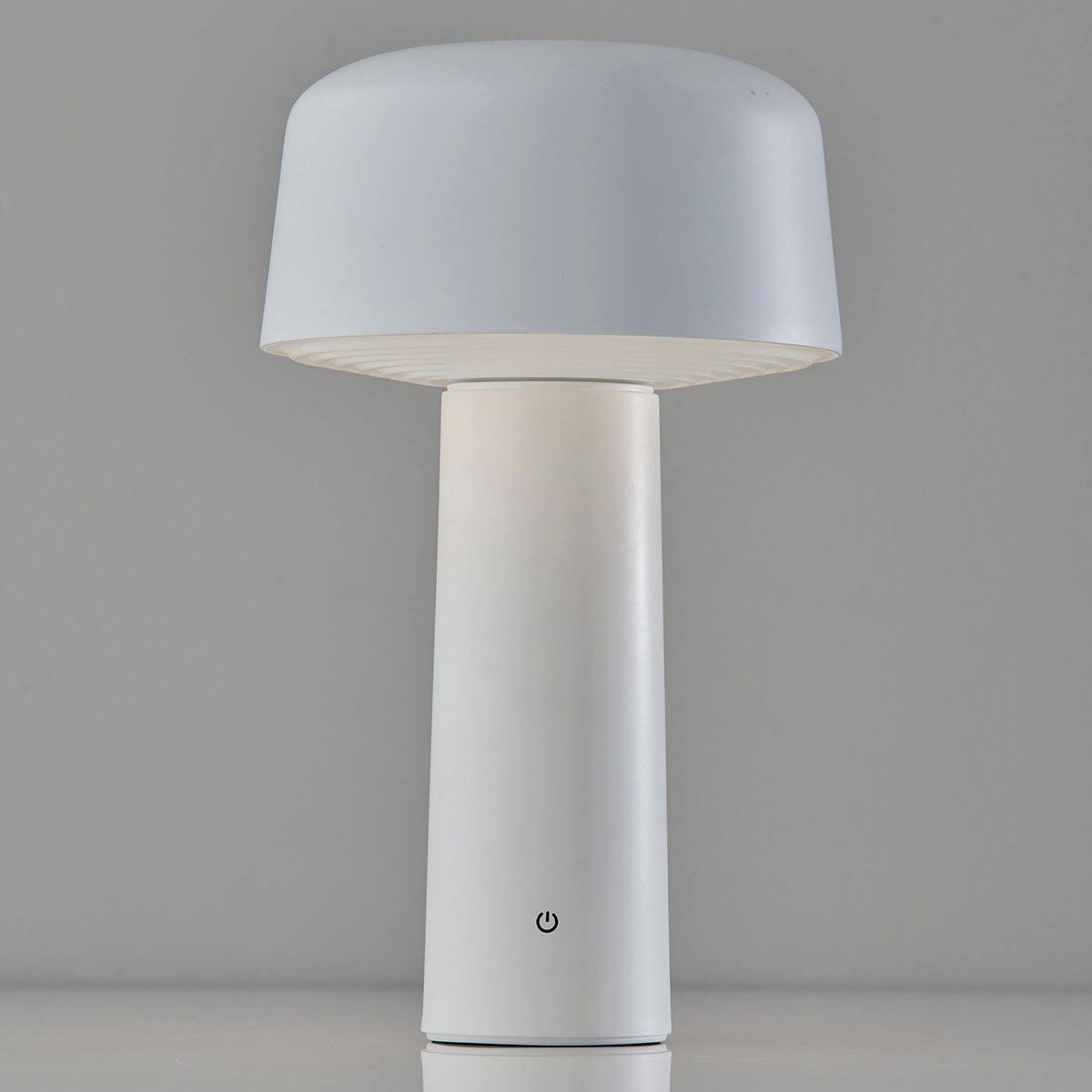 Cordless Indoor/Outdoor LED Diffused Light Table Lamp
