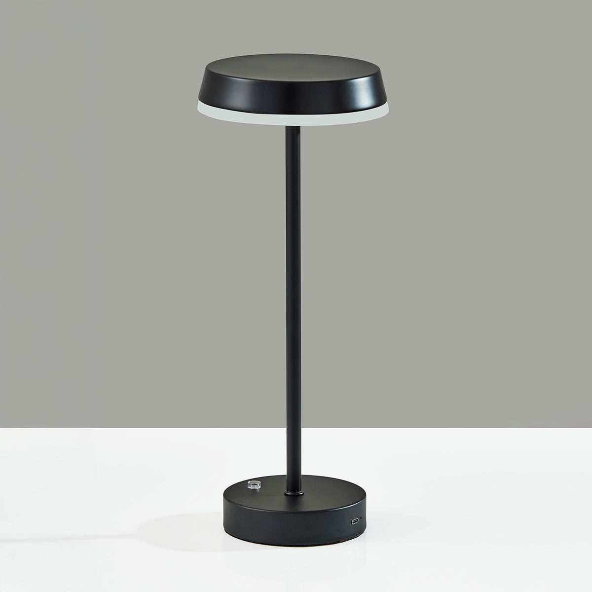 Metal Finish Indoor/Outdoor Cordless LED Table Lamp