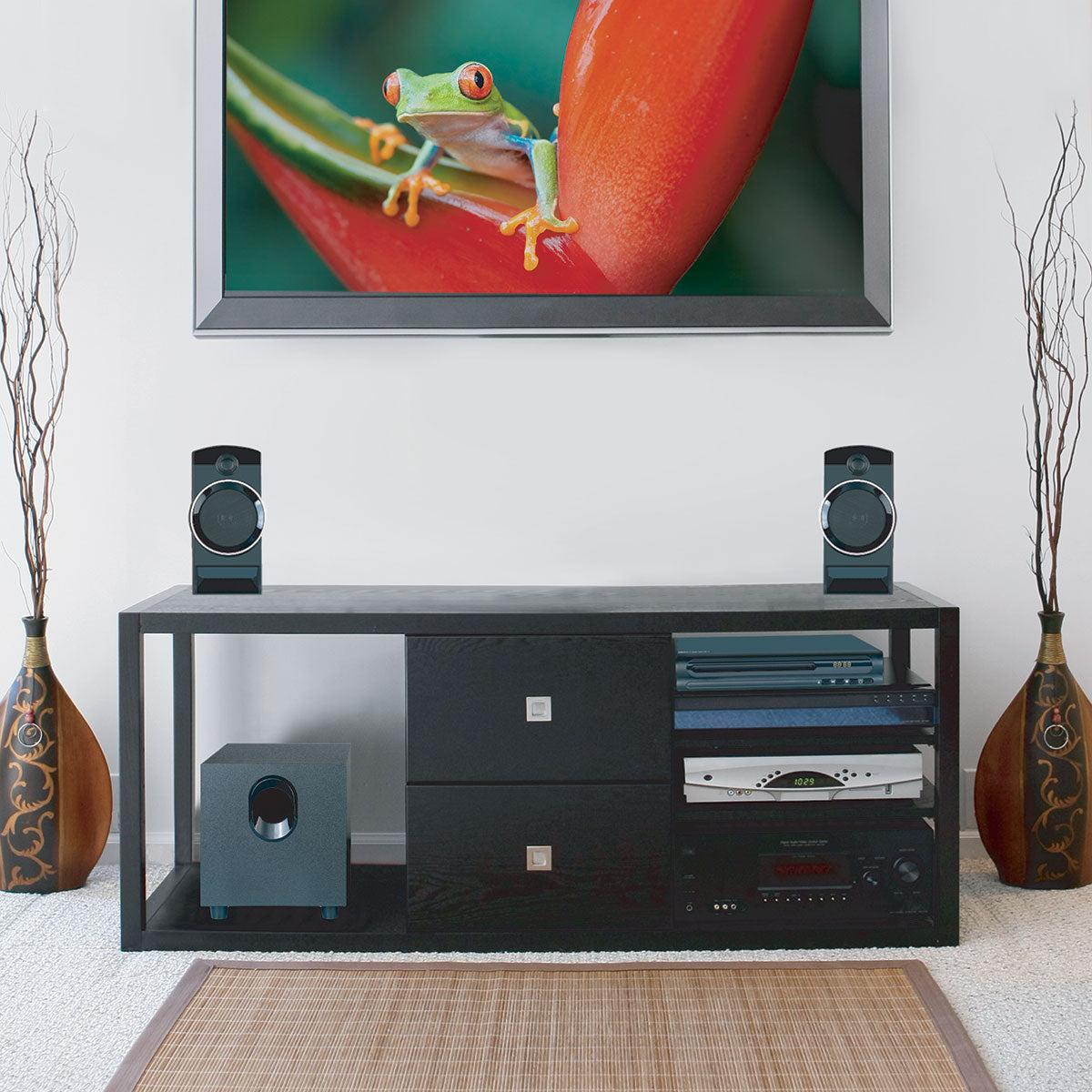 DVD Player with Home Theater Surround Sound System