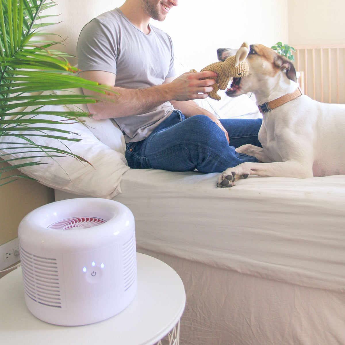 Compact Air Purifier