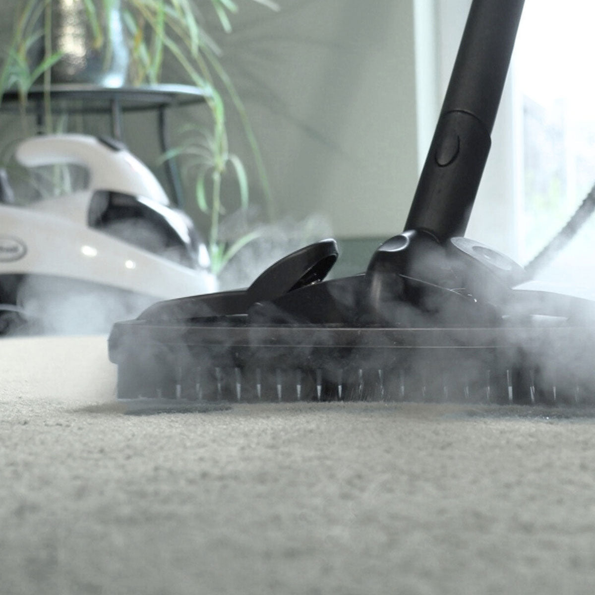 Multi Function Steam Cleaner