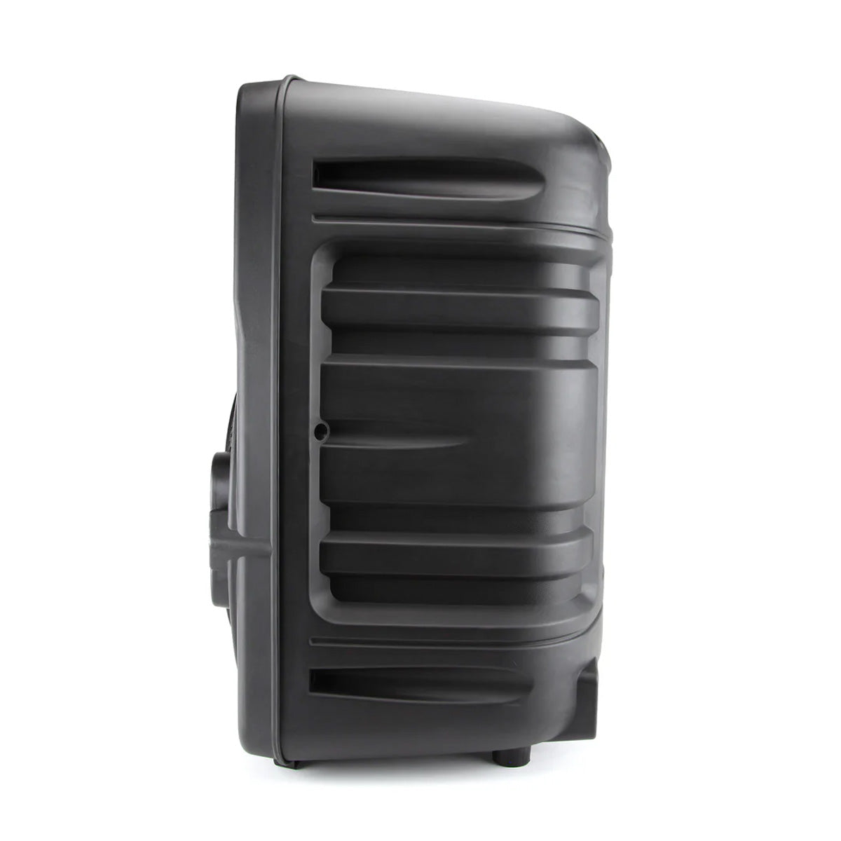 12'' Portable Party Speaker
