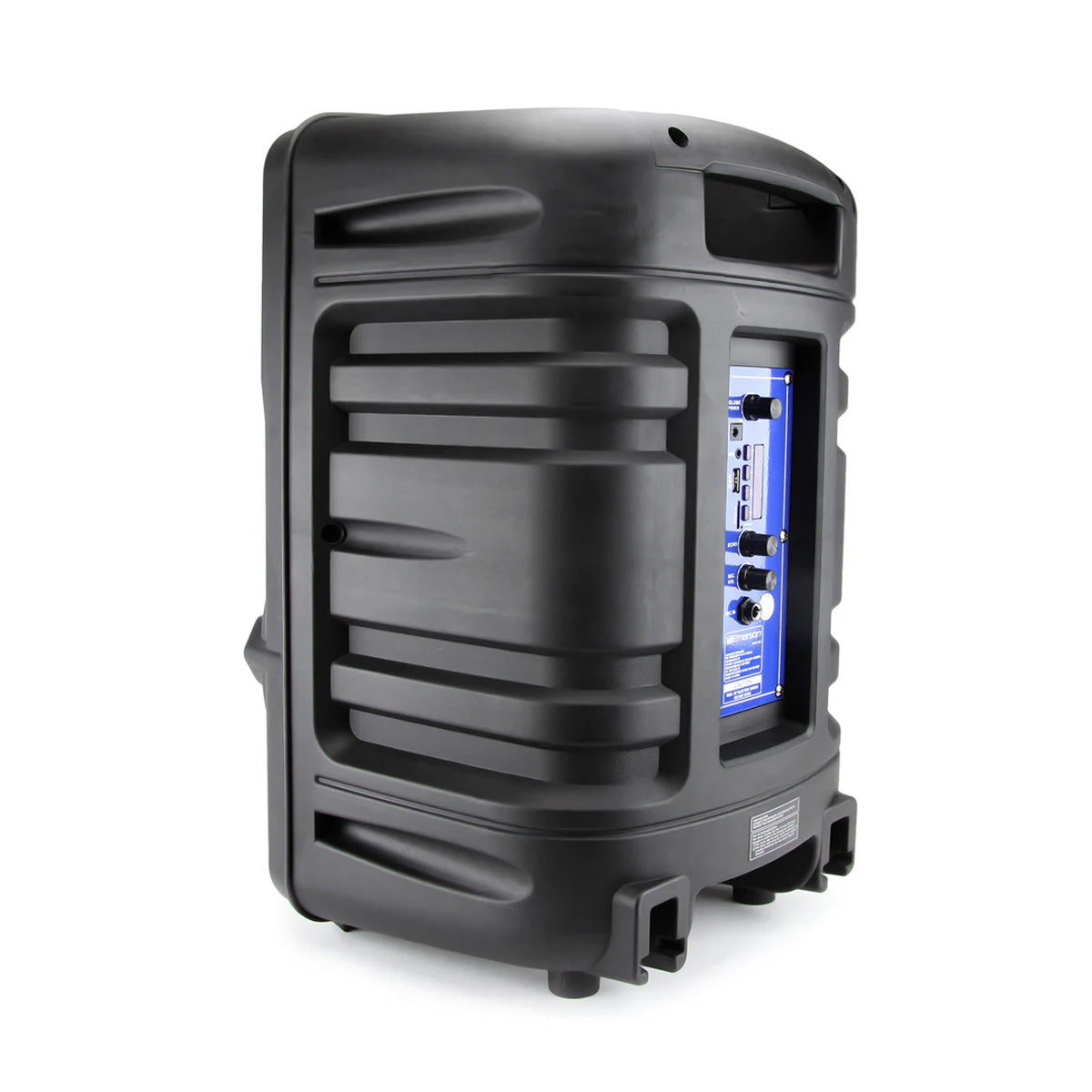 12'' Portable Party Speaker