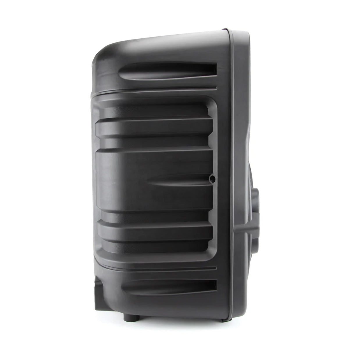 12'' Portable Party Speaker