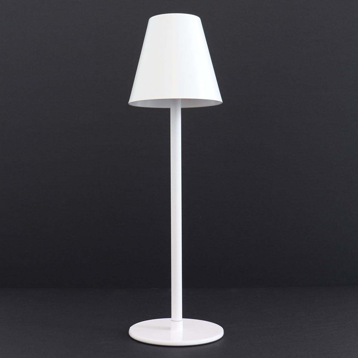 4-in-1 Indoor/Outdoor Bug Deterrent Lamp