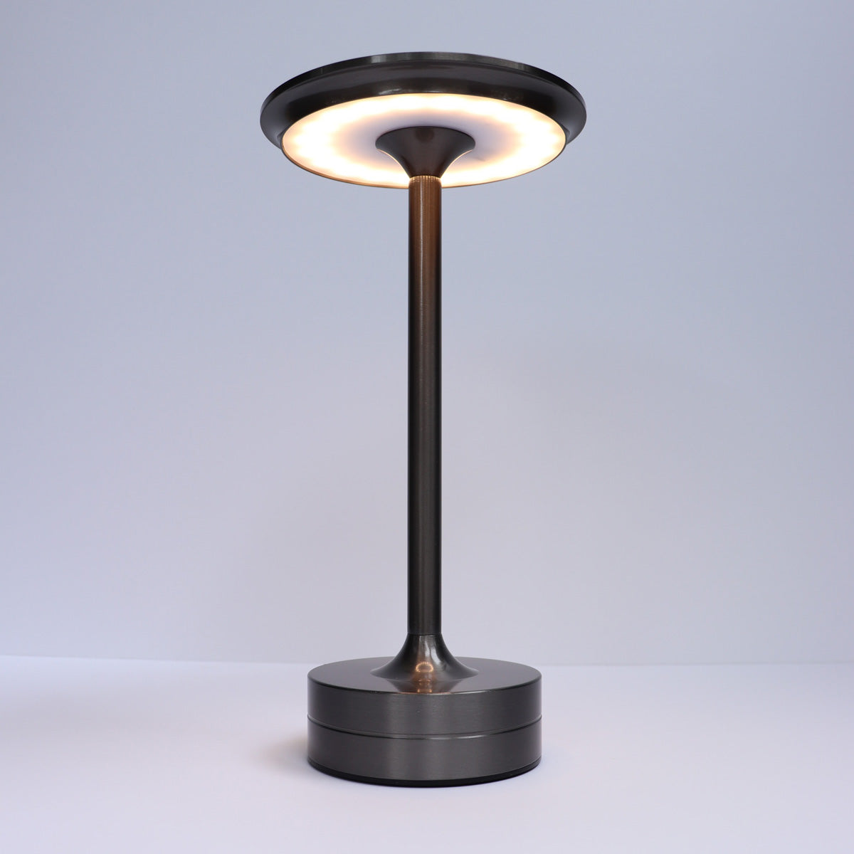 Indoor/Outdoor Bug Deterrent Lamp