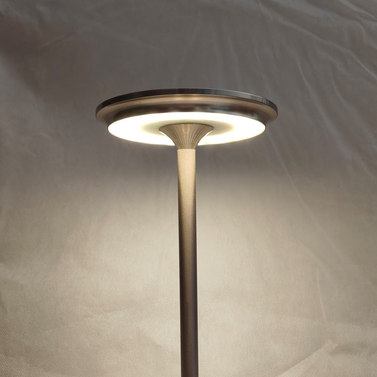 Indoor/Outdoor Bug Deterrent Lamp