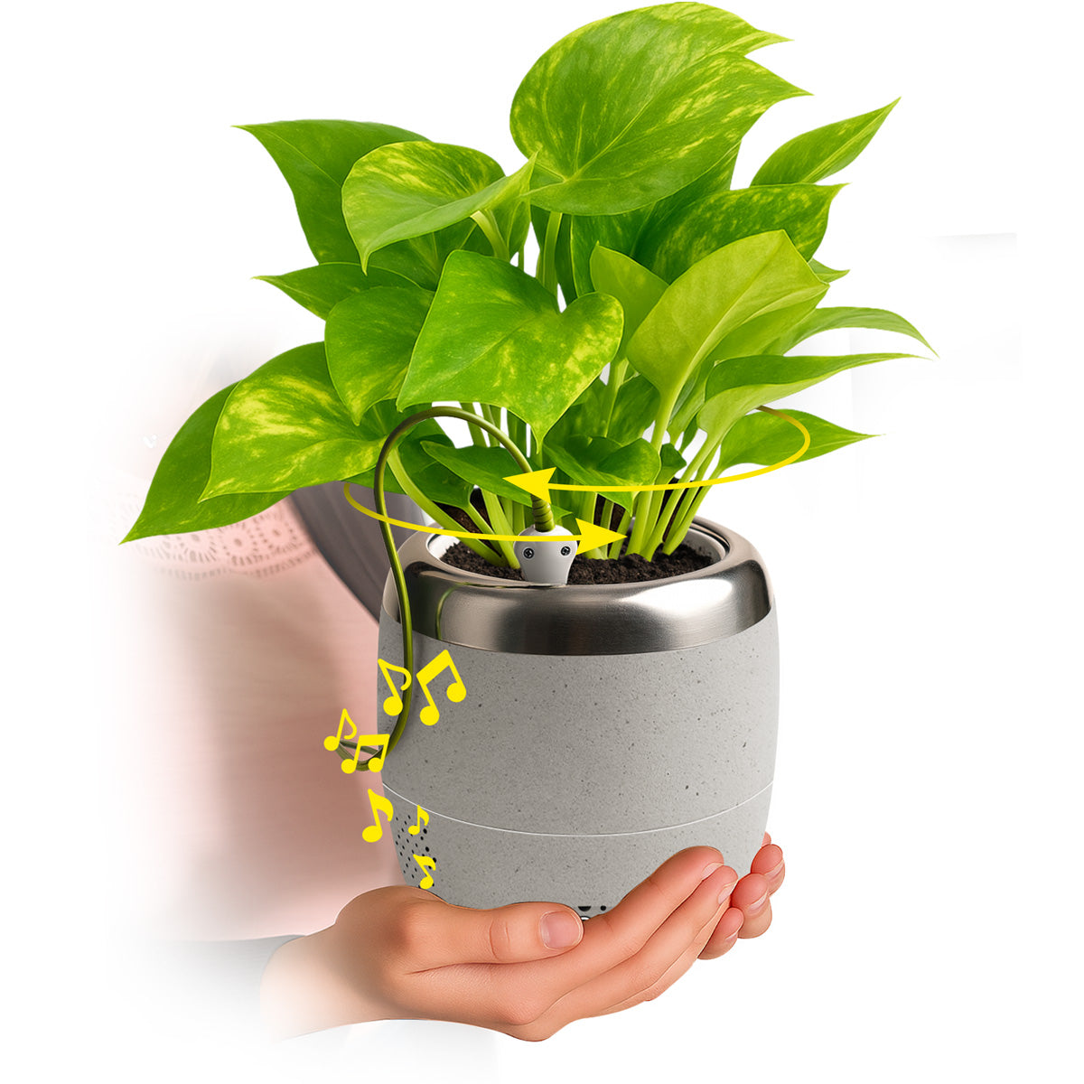 Interactive 6'' Smart Plant Pot with Speaker