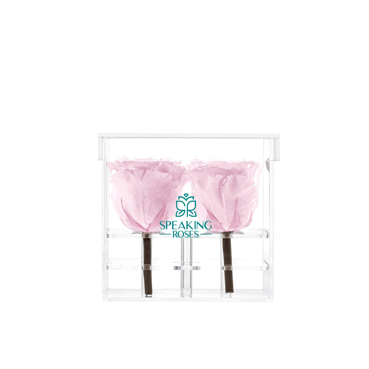 Preserved Roses (4 Stems)