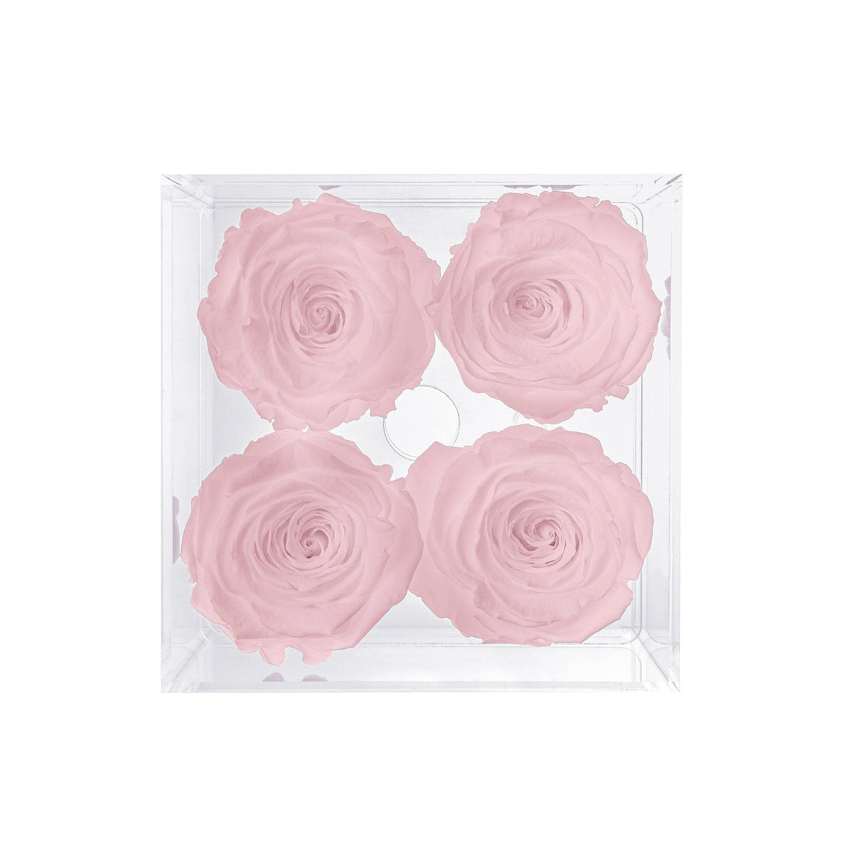 Preserved Roses (4 Stems)