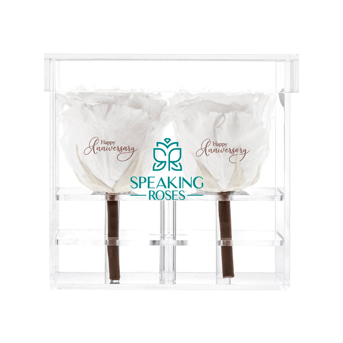 Preserved Roses (4 Stems)