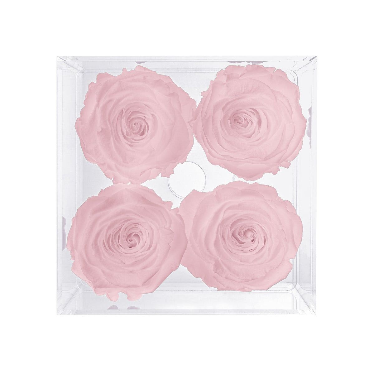 Preserved Roses (4 Stems)
