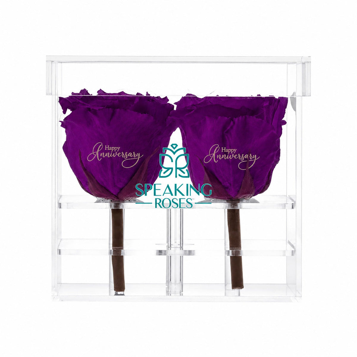 Preserved Roses (4 Stems)