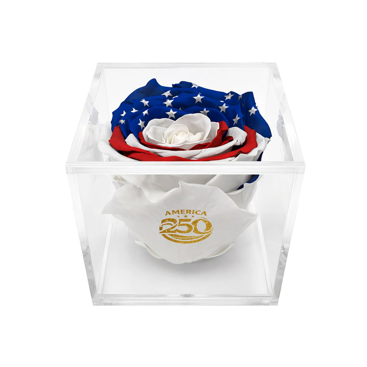Stemless Patriotic Preserved Rose