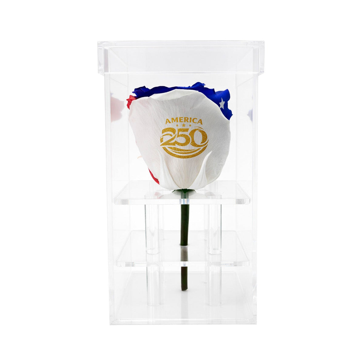 Single Stem Patriotic Preserved Rose