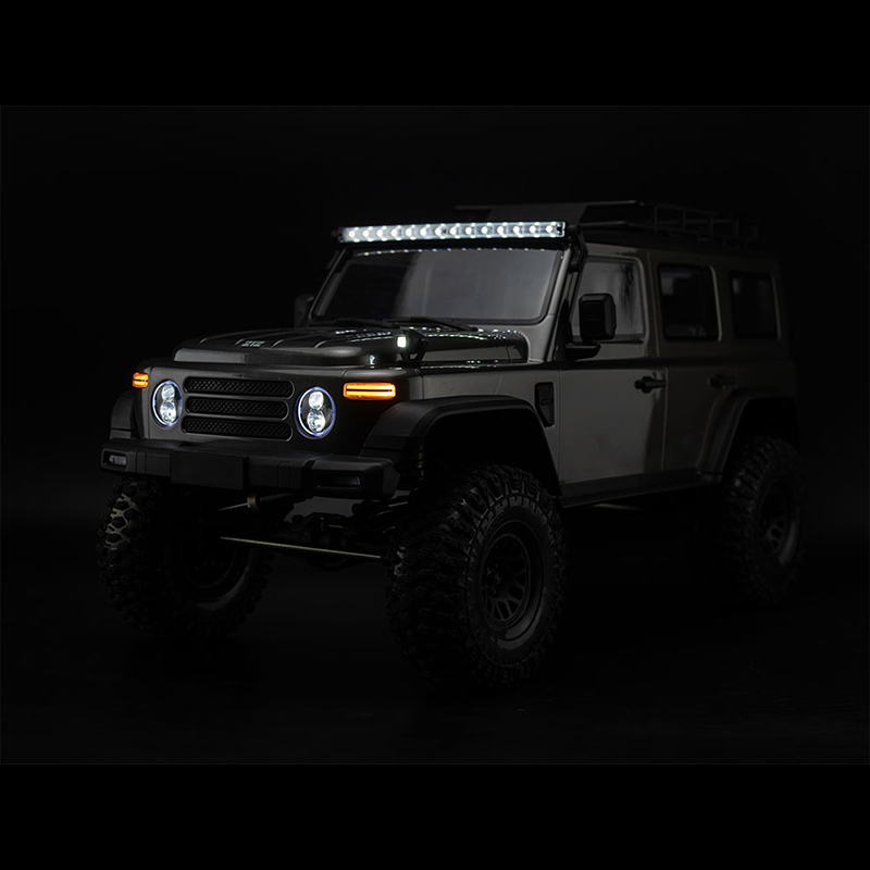 1/8 Scale Professional Brushed Motor Off-Road Vehicle with Differential Lock - ZH16