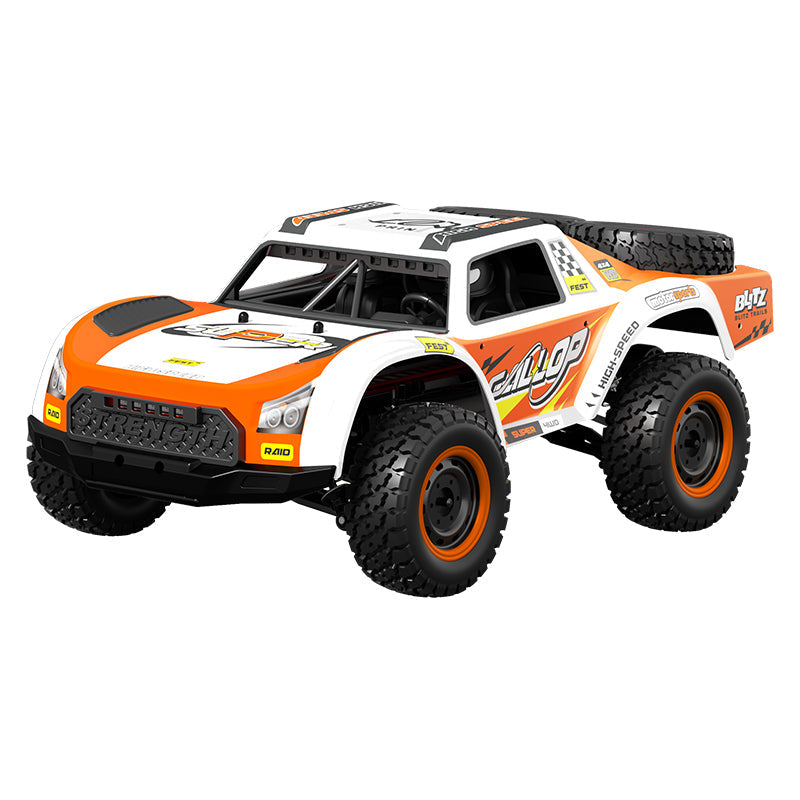 1:16 Scale High-Speed 4WD Remote Control Drift Racing Car - HW01