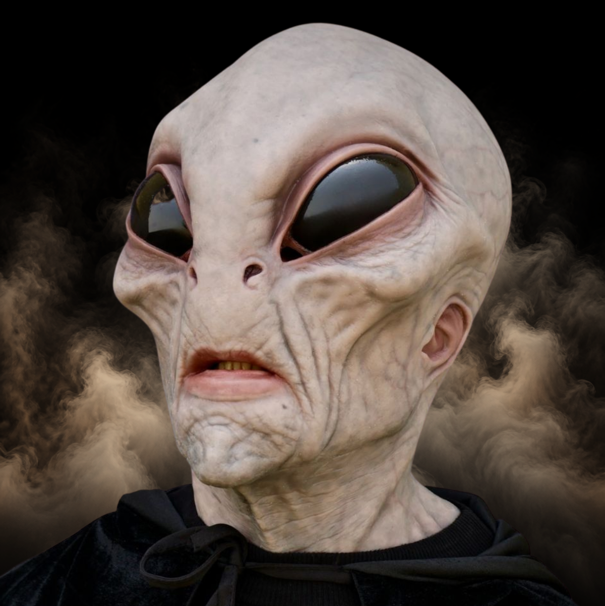 Area 51 Alien Mask