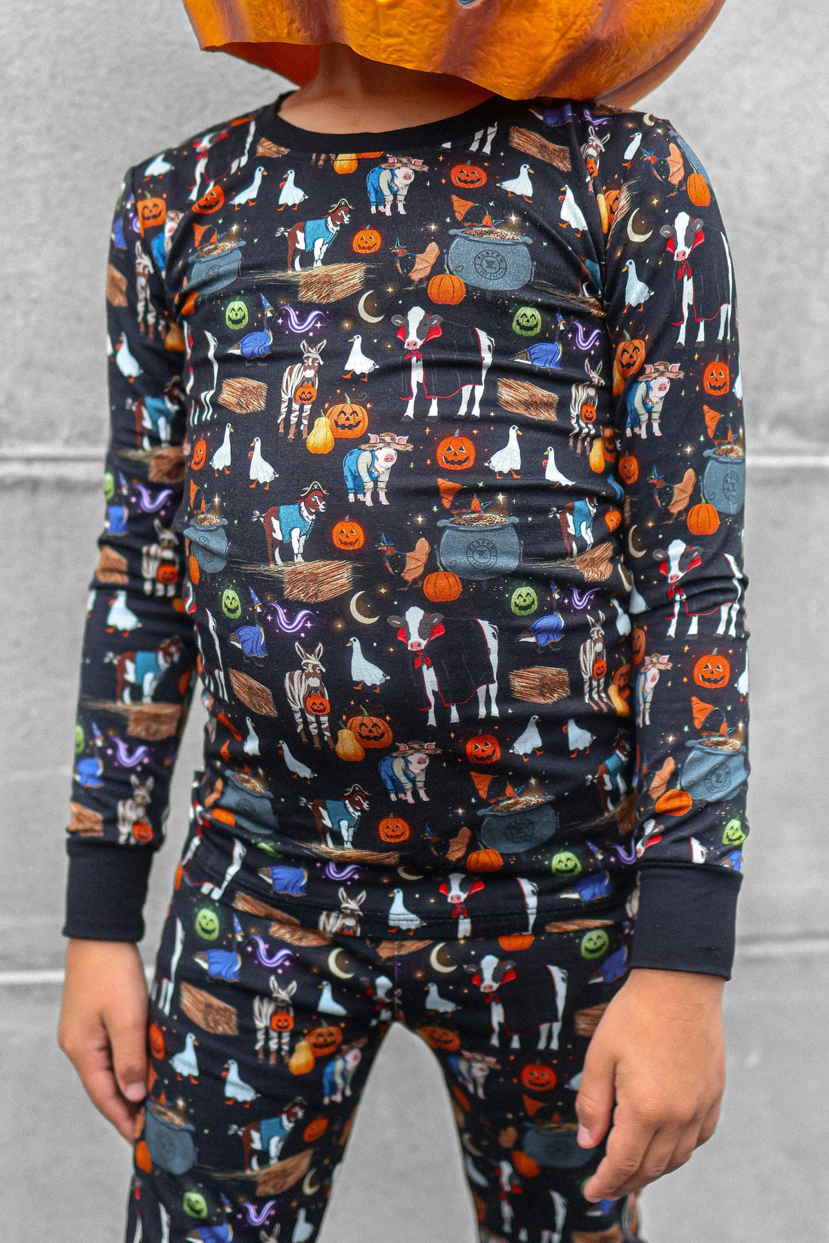 Halloween Farm 2 Piece Pajama Set