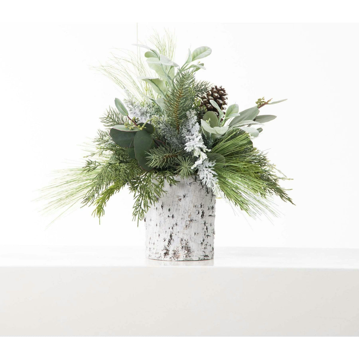 Mixed Winter Greenery & Pinecone Rustic Arrangement in White Birch Cylinder
