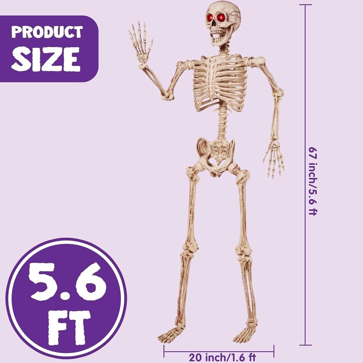 JOYIN 5.6 ft Halloween Life-Size Posable Skeleton with LED Glowing Eyes