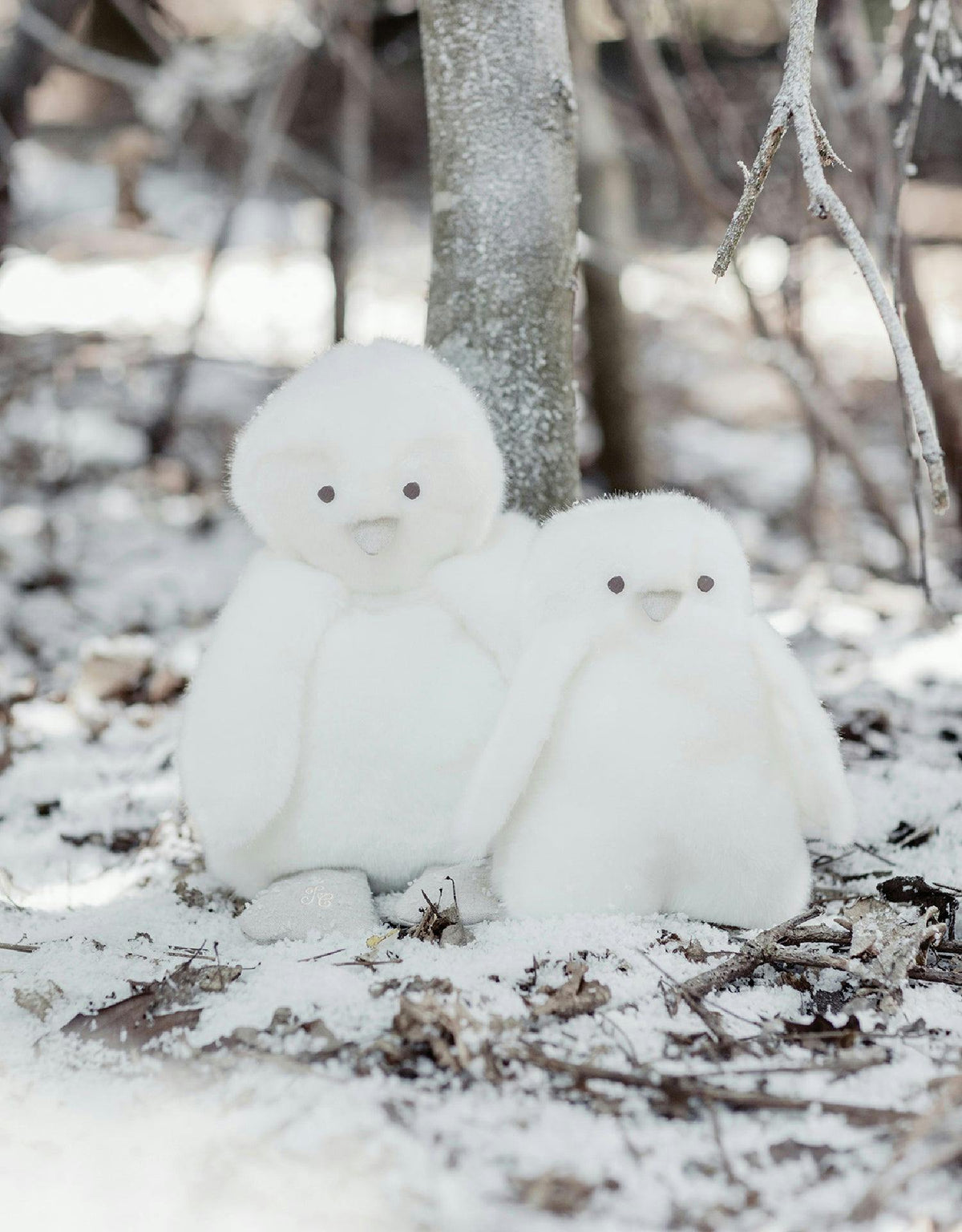 GABIN THE PENGUIN PAMPLEMOUSSE X TARTINE ET CHOCOLAT