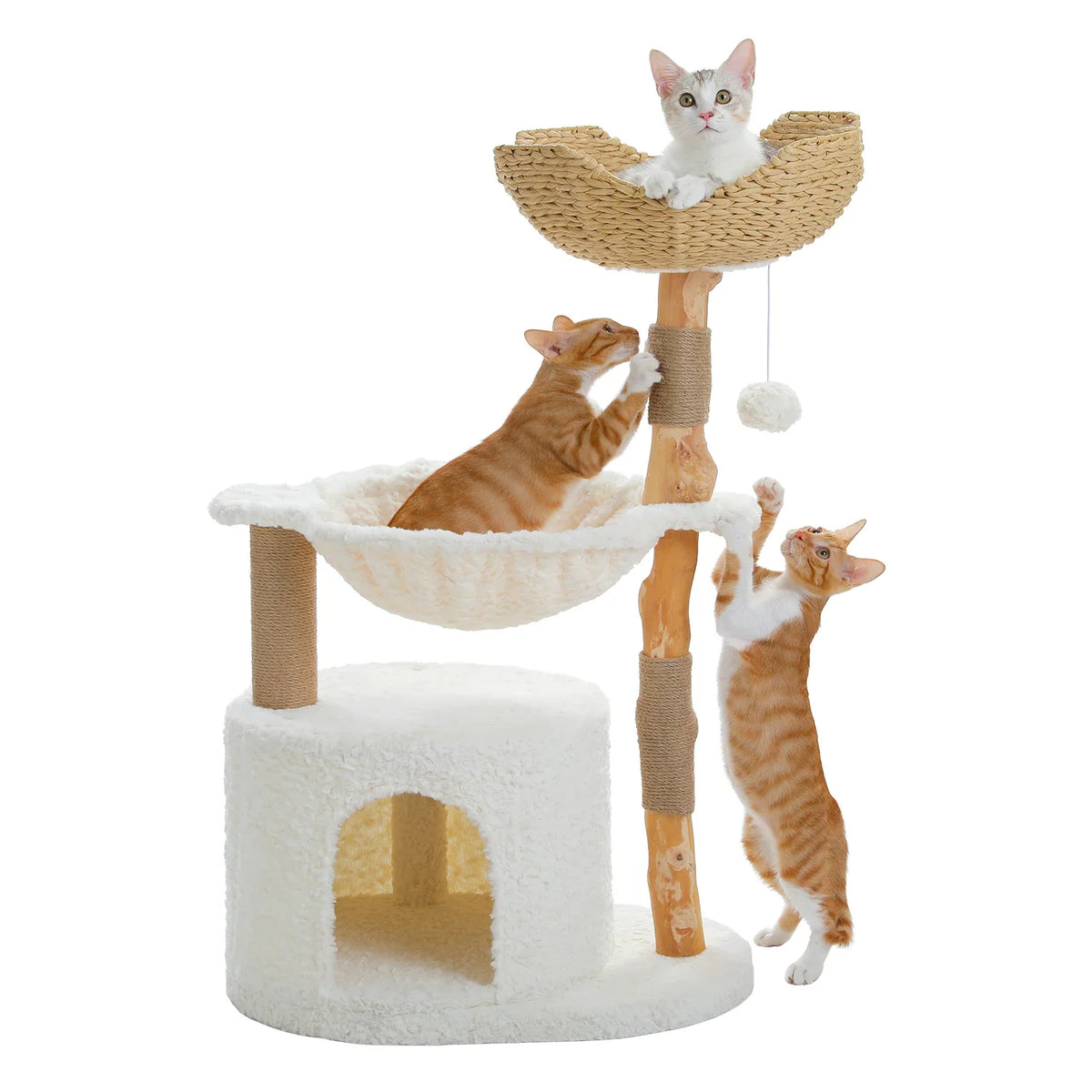 Modern Cat Tree Tower with Natural Solid Wood Scratching Posts