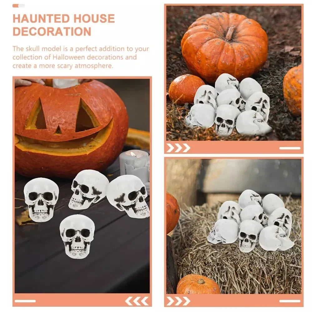 10-Piece Mini Skeleton Skull Decoration Set