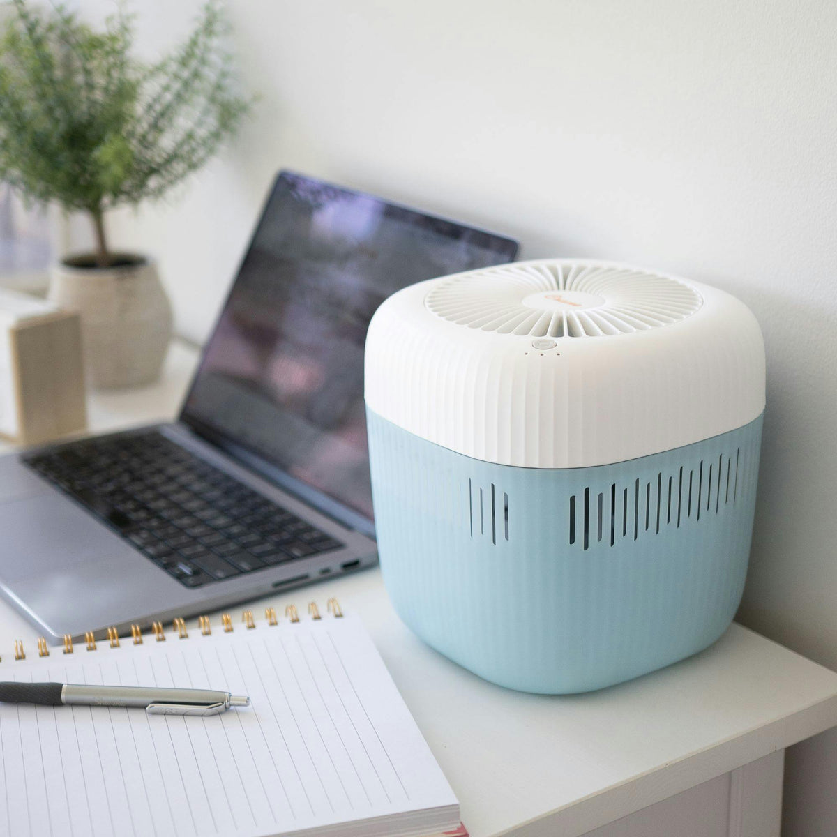 Evaporative Humidifier, Cool Mist 0.5 Gal Top Fill, UV Light, Wick Filter