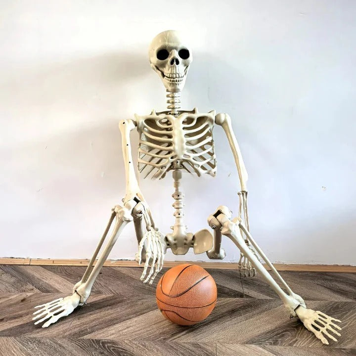 Life-Size Anatomical Skeleton Halloween Decoration