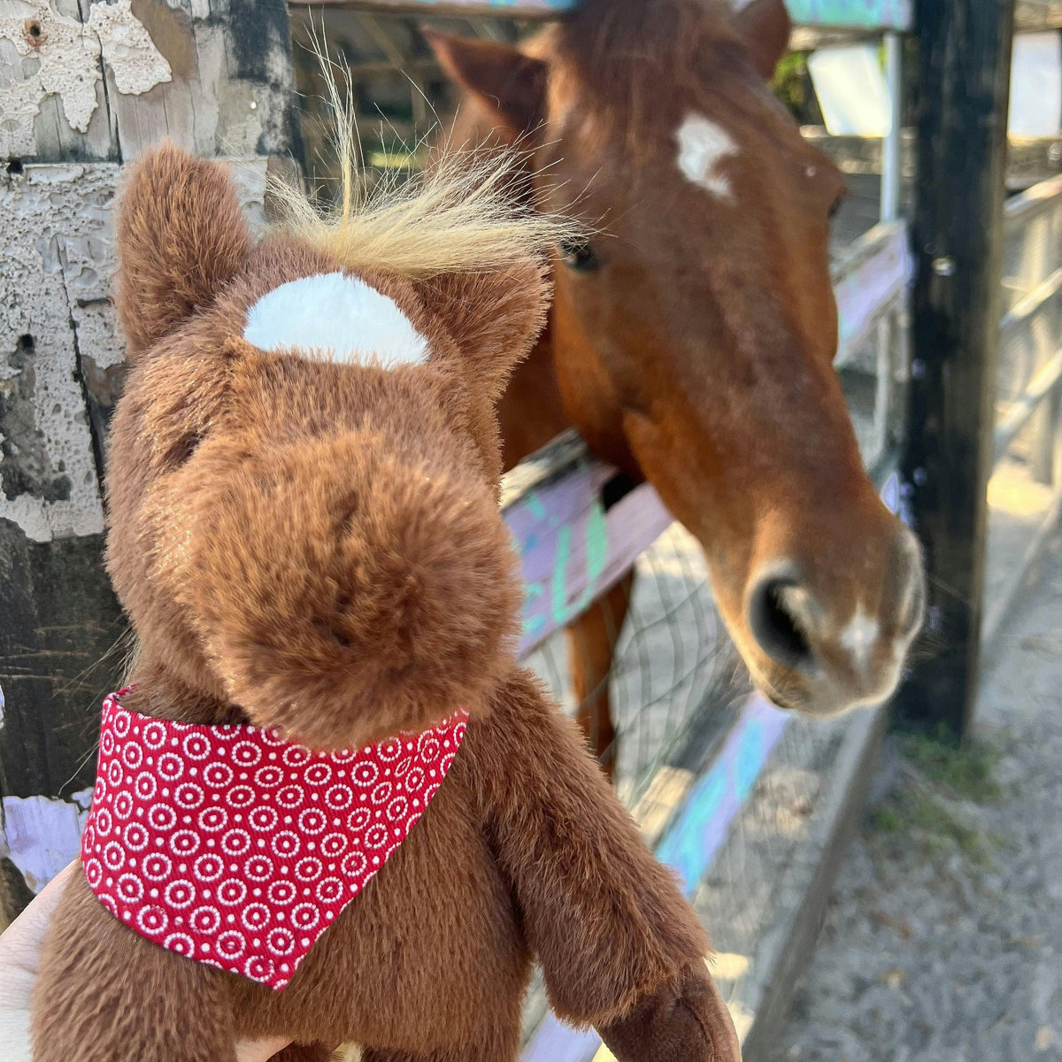 Cinnamon Horse